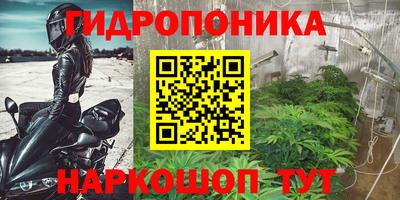 крисы Бузулук