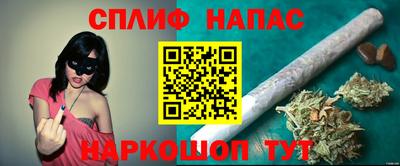 крисы Бузулук