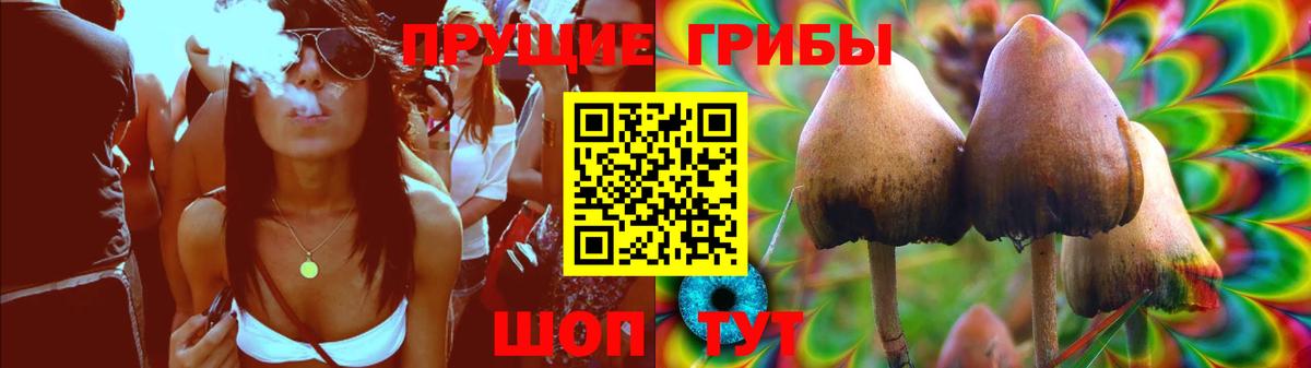 Псилоцибиновые грибы мухоморы  Псилоцибиновые грибы Cubensis  Вход с VPN  Татарск 